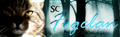 Thumbnail for version as of 19:58, July 20, 2011