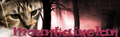 Thumbnail for version as of 19:49, July 20, 2011