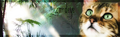 Thumbnail for version as of 21:00, July 19, 2011