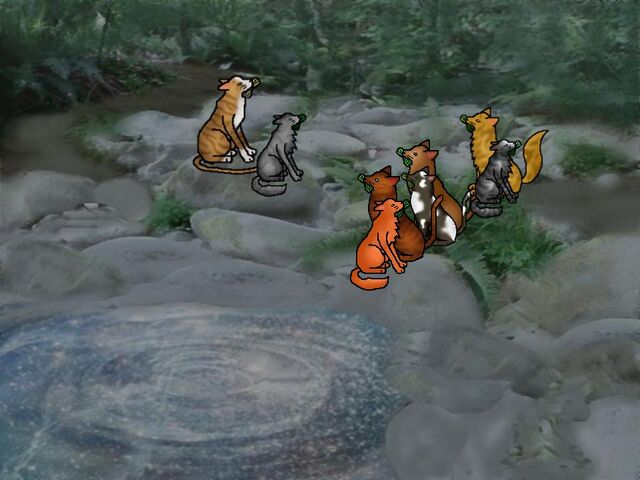 File:Jaypaw's cereamony.jpg