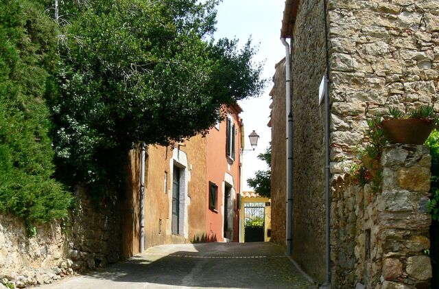 Fitxer:Carrer Sant Fruitós.jpg