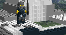 Rogue guardian boss