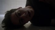 Echo House - Stiles (1)