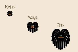 Plik:Różne moja.jpg