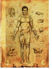 Human