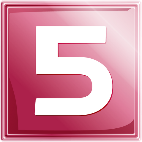 File:Net5 logo 2007.png