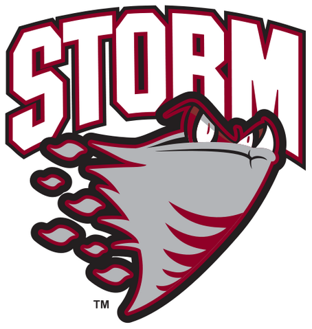 File:Guelph Storm.png
