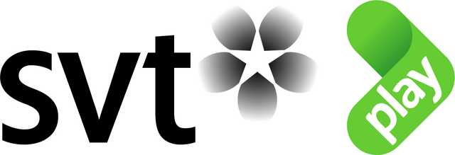 File:SVT Play logo.png