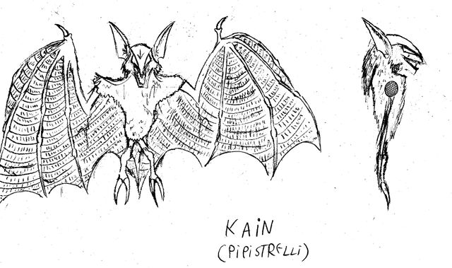 File:KAIN PIPISTRELLI.jpg