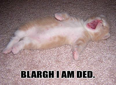 File:Deadcat.jpg