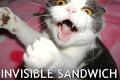 Thumbnail for version as of 14:37, October 17, 2009