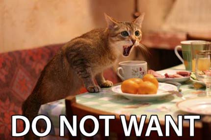 File:Donotcat.jpg