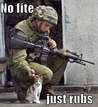 File:Soldiercat.jpg