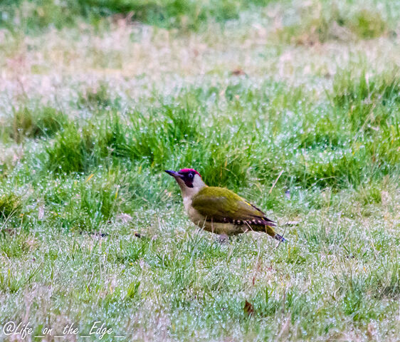 File:Lightroom-8014.jpg