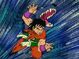 Images (24)