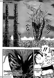 Toriko Dharma Horse