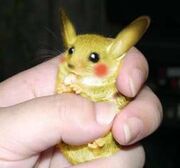 925-real-life-pickachu-buying-a-real-pokemon