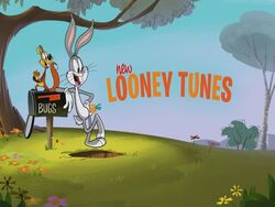 New-looney-tunes.intro