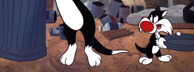 File:Sylvester Junior (8).jpg