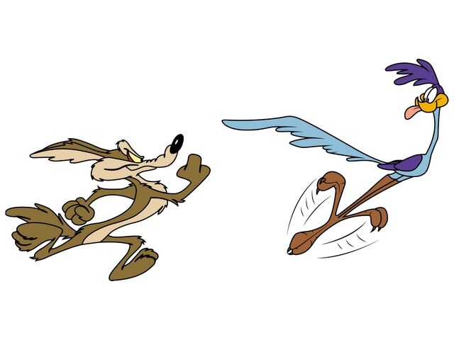 File:Road-runner-4.jpg