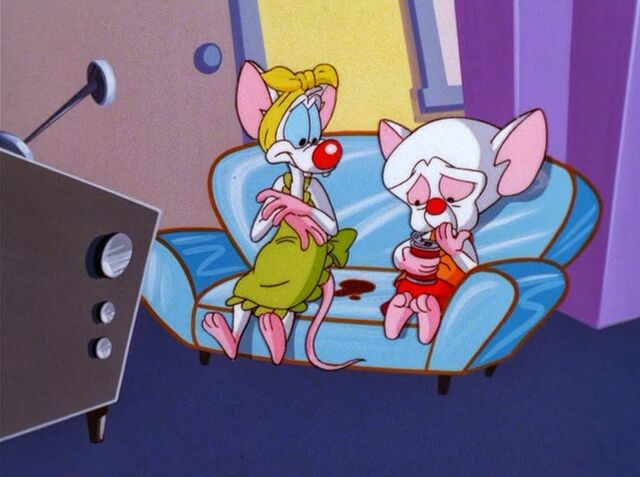 File:Pinky's Dream House 2.jpg