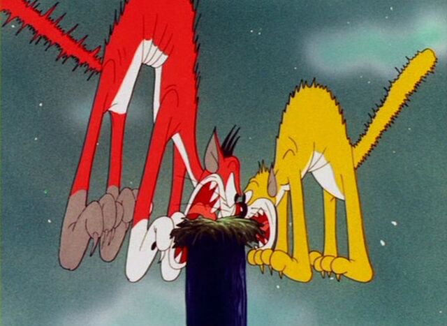File:Cats hissing at each other.jpg