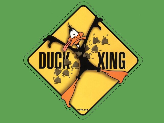 File:Daffy 3.jpg
