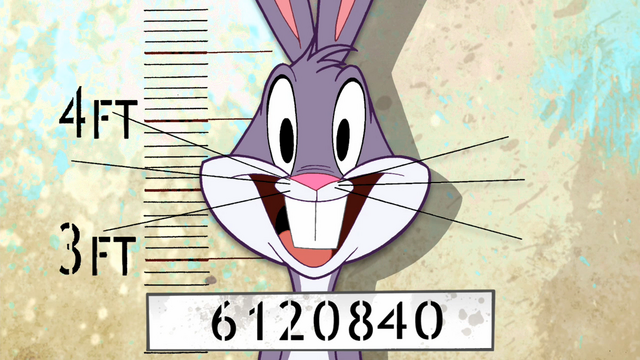 File:Bugs' Mug Shot 1.png