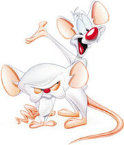 Pinky and the Brain