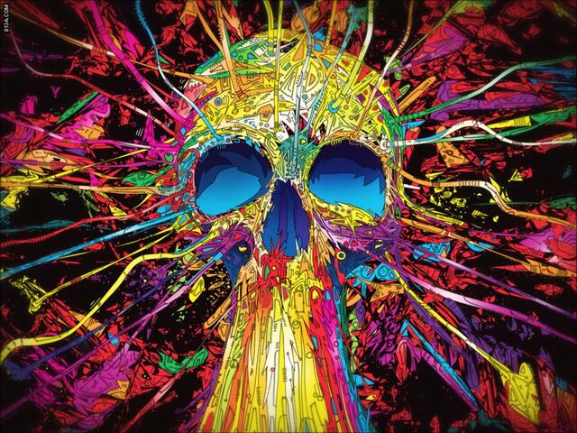 Archivo:Calavera.jpg