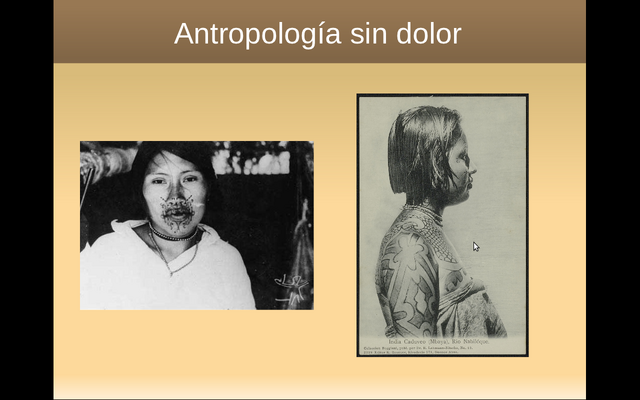 Archivo:Pagina 11.png