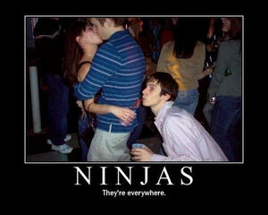 Ninjaseverywhere.jpg