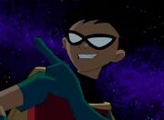 Robin7.jpg