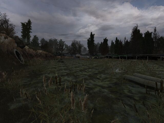 File:ForgottenSwamp.jpg