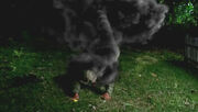 Smokemonster arm.jpg