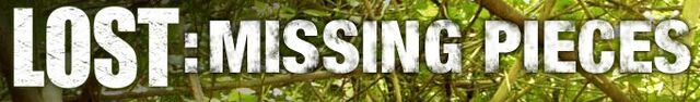 קובץ:MissingPiecesLogo2.jpg