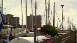 Harbour.jpg