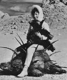 Tortoise-0