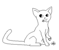 Thumbnail for version as of 05:51, December 11, 2011