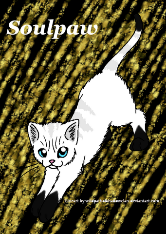 File:Soulpaw.png