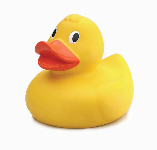 File:Huge-rubber-duck-13--196-p.jpg
