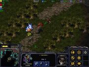 Starcrafdota7sl41