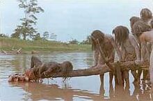 Cannibal holocaust piranha scene