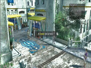 Seed 38
