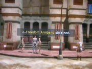 Freedom-armband
