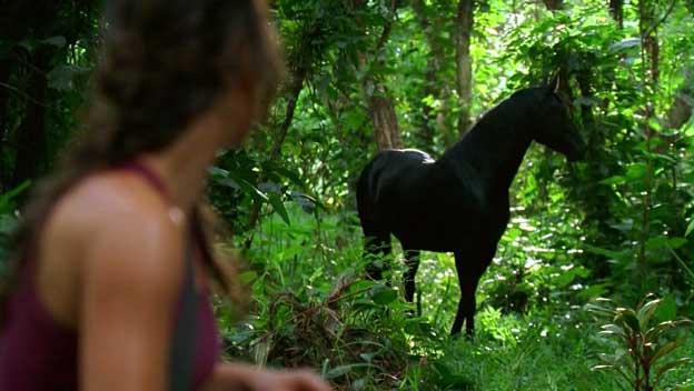 Ficheiro:KateHorse.jpg
