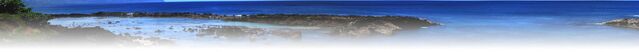 File:Hawaii-bottom158.jpg