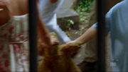 3x09-zack-emma-teddybear.jpg