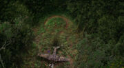 800px-Pearlquestionmarkjpg.jpg