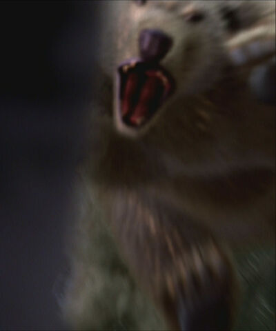 File:CGBear.jpg